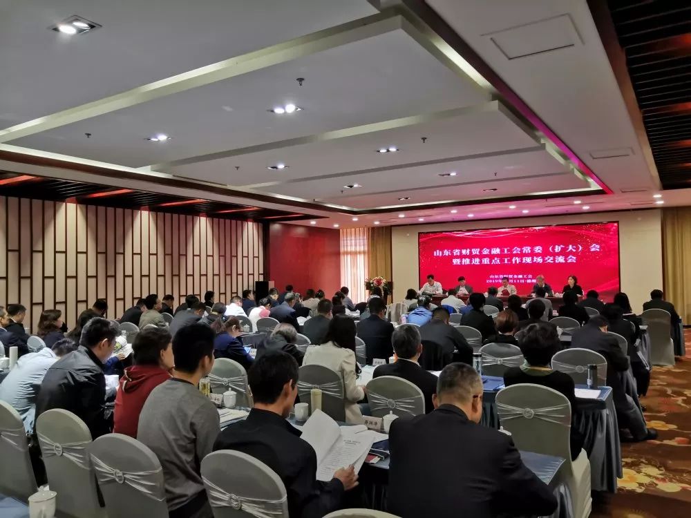 齐河县经济总量大_齐河县大代宋丽娟(3)