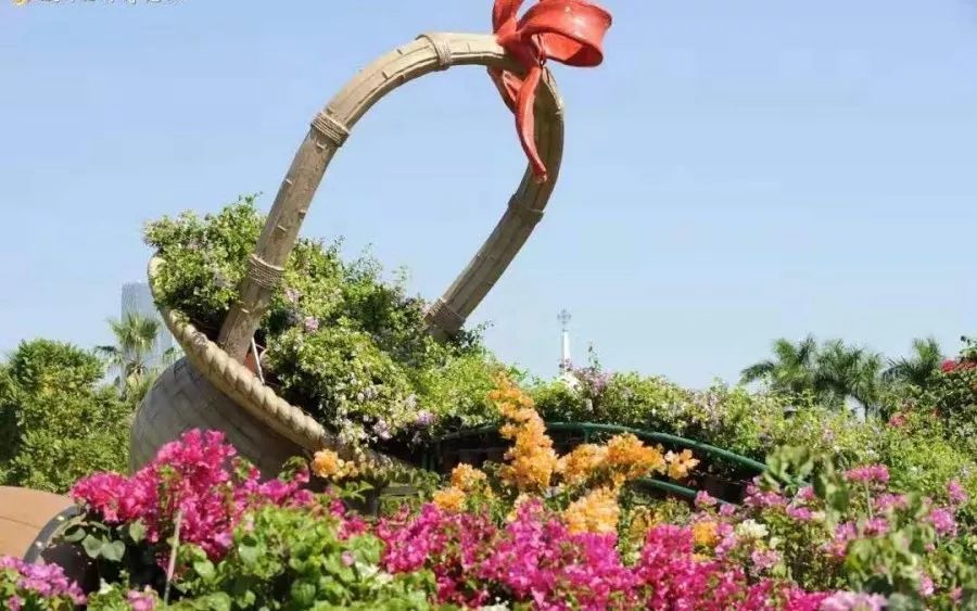 精品三角梅 盆景 37685f4ddbc94483b05bc7d48a961a39.jpeg