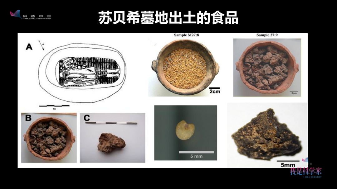 早在4000年前，古人就会画红妆、烤面包、喝酸奶了