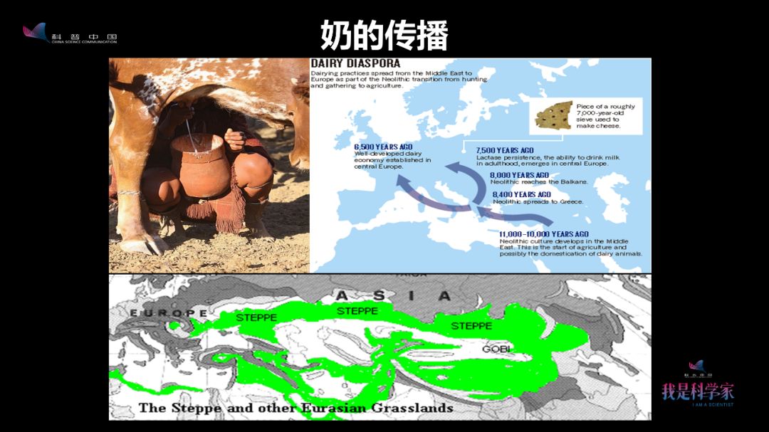 早在4000年前，古人就会画红妆、烤面包、喝酸奶了