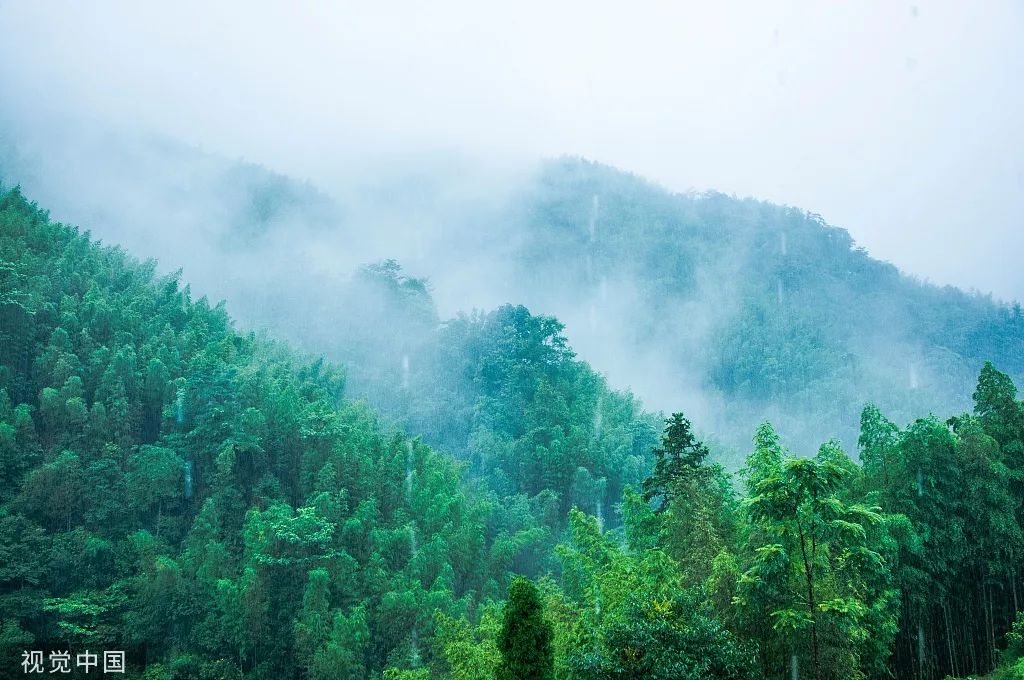 她在朋友圈晒结婚证,太美了!