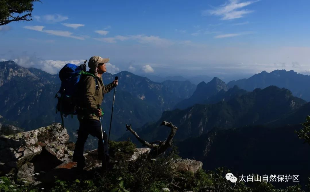 高山仰望