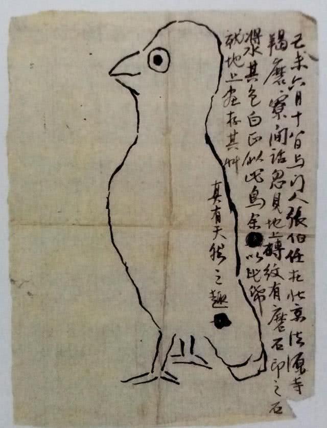 齊白石畫了一隻怪鳥，賣了4個億，網友看後，紛紛感慨：我不服 寵物 第4張
