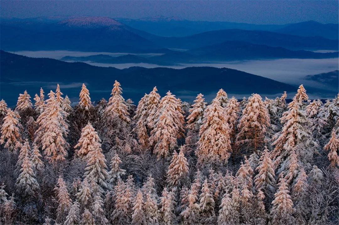 【岭秀兴安】 山水泼墨·诗画留白 | 印象箐山·北国至美