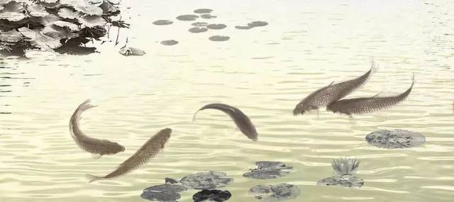 梦境解析,捉鱼与争吵——池塘中的隐喻与内心冲突 梦境解析,捉鱼与争吵——池塘中的隐喻与内心冲突