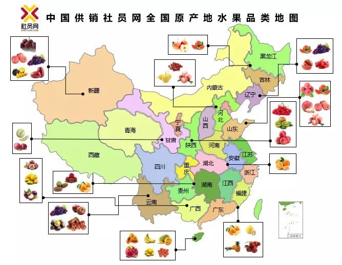 社员网全国原产地水果品类top10图鉴_中国