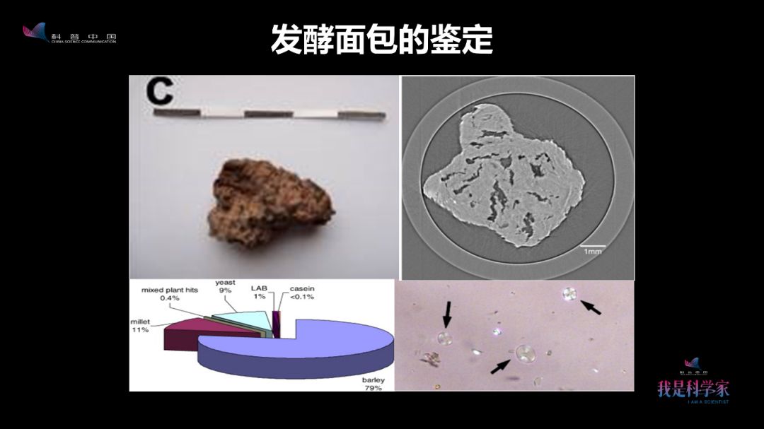 早在4000年前，古人就会画红妆、烤面包、喝酸奶了