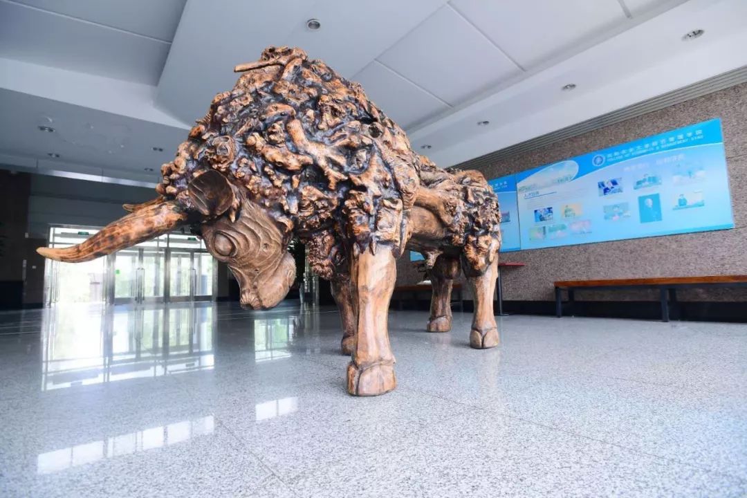 沈阳农业大学全排名_2019-12-2014:06来源:东北新闻网