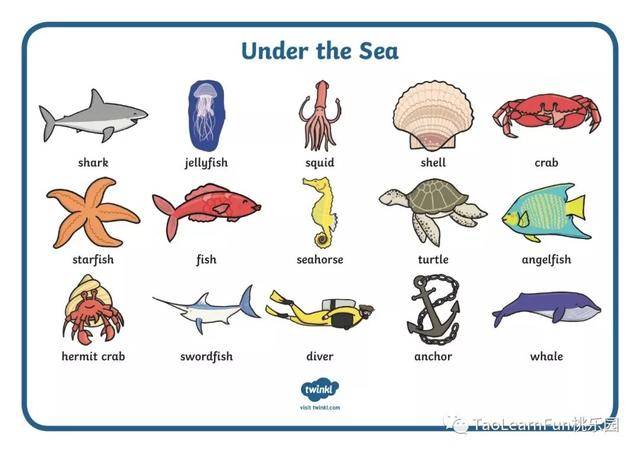 单词内容主要围绕海洋生物,大部分海洋生物基本都涵盖了~ 还有一些