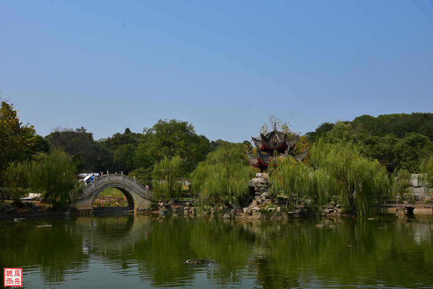 岳阳有个爱情岛