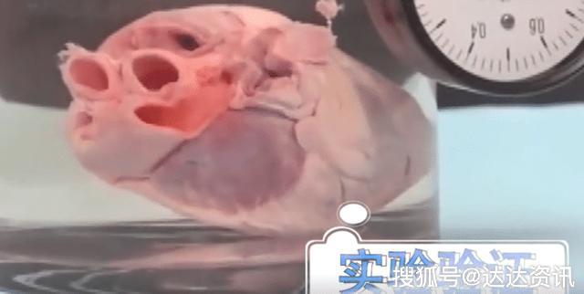 真空环境究竟有多可怕?看这颗心脏的下场你就明白了