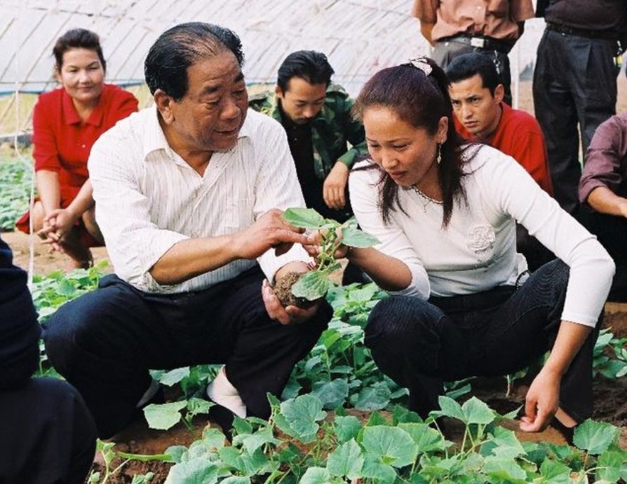 王乐义正在对菜农进行种植技术指导