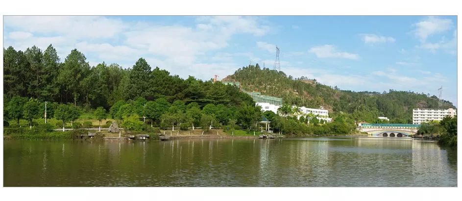 玉林师范学院2019年公开招聘博士硕士人才简章