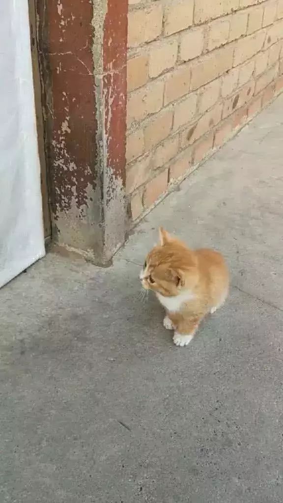 a2d8f0c0644344eaadaa0d9fdebaf2f2.jpeg