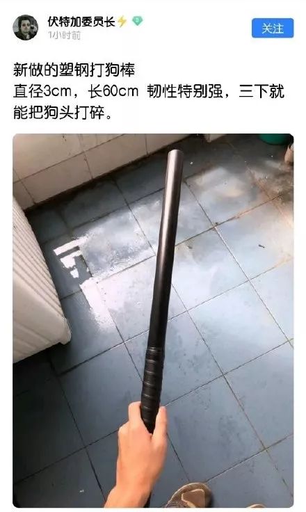 成都理工大学一研究生残忍虐狗事件，网上发酵，引发民愤