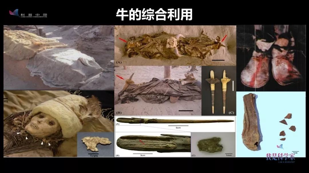 早在4000年前，古人就会画红妆、烤面包、喝酸奶了