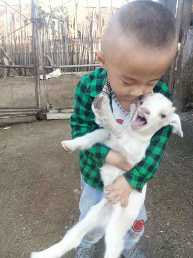 艺术百草园■爱干净的宝宝