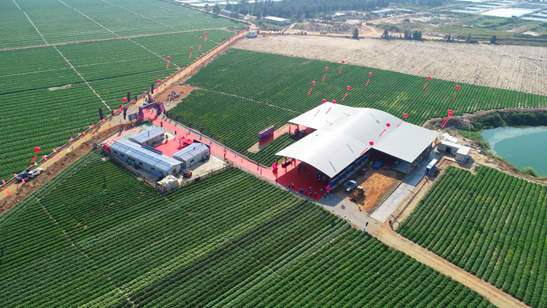 陆丰天气最新 b0a583ff8bf54e8dbfd51525ec0d5a78.png