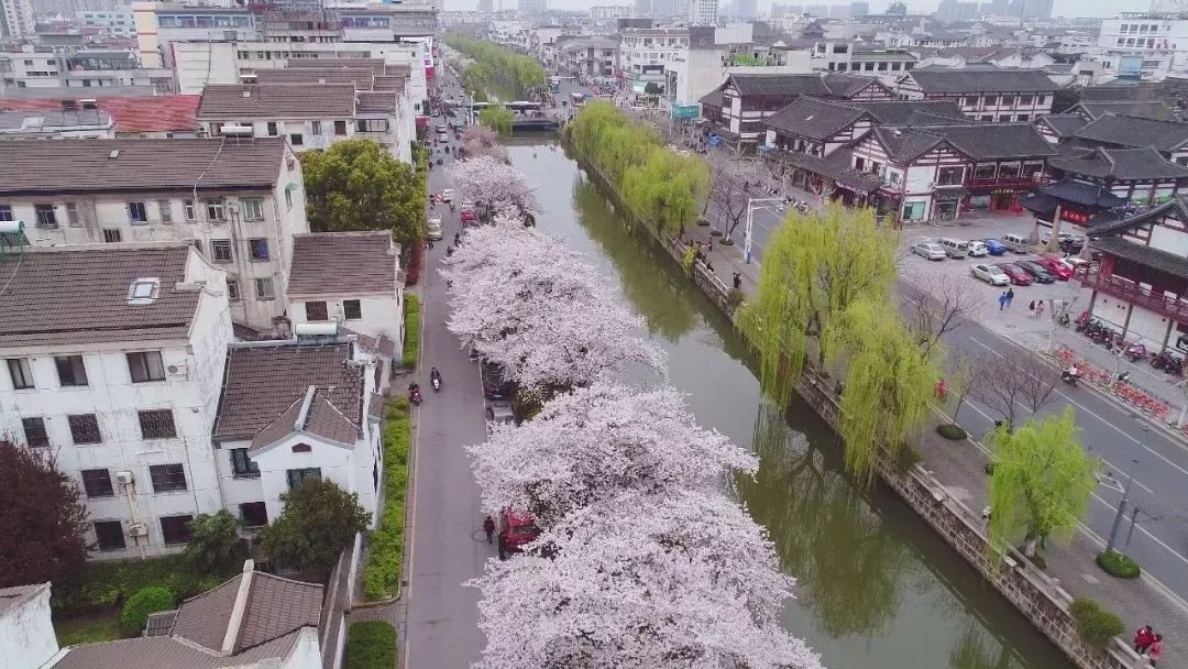 常熟凌巷村将集体土地按人口_常熟蒋巷村生态园