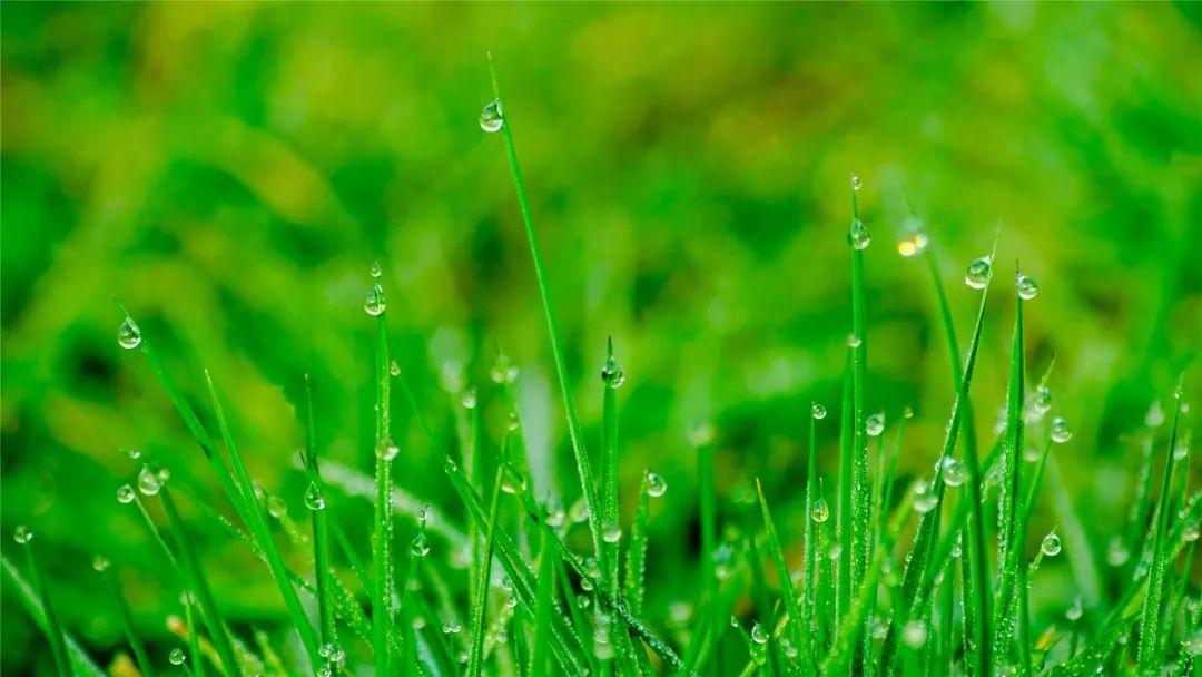 谷雨之夜，温馨晚安——一部短剧的诞生与魅力