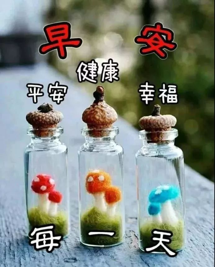 周五最新漂亮早上好动态美图鲜花带字,早晨好幸福暖心