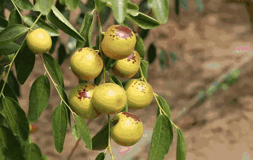 caa00e28290a4ceeabe42c9d8dc1aba9.gif