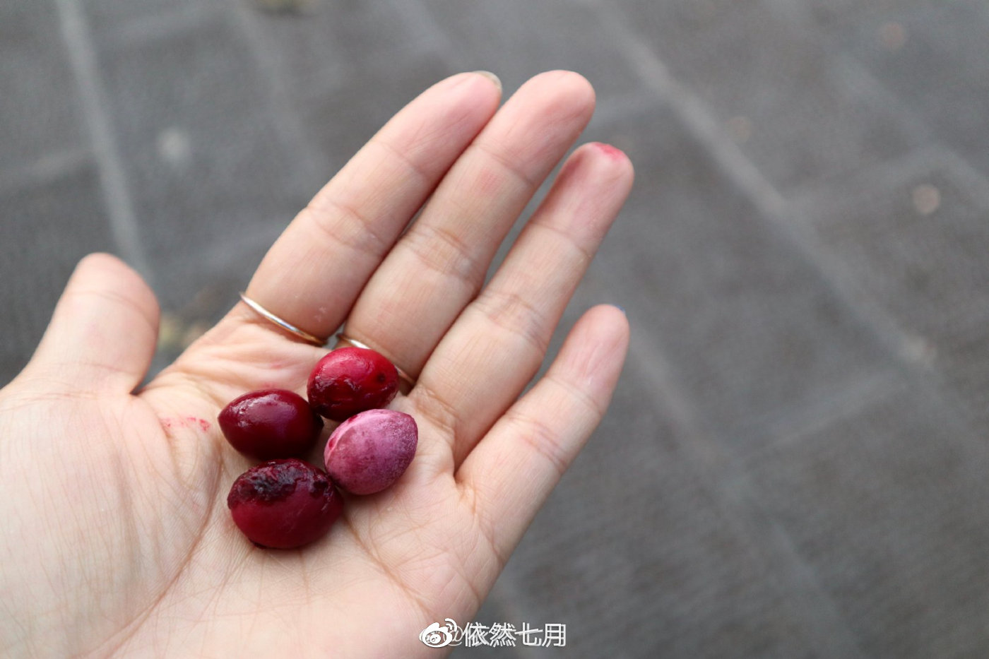 这是采薇的阿姨用我们买的胭脂果煮的,天然的红色素.