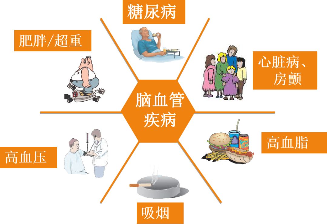 缺血性脑卒中治疗策略及误区——战胜卒中,乐享人生