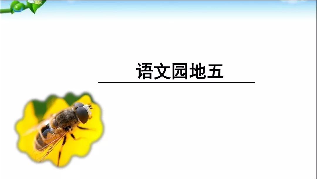 部编版语文二年级上册语文园地五、日积月累知识点+课文解读