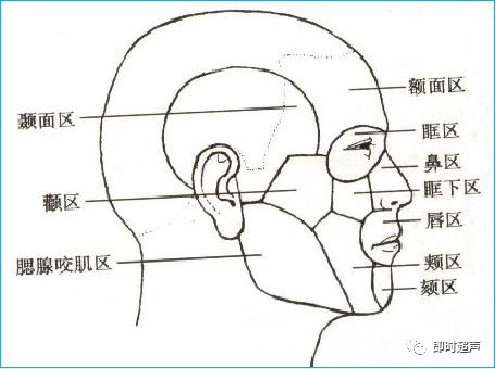 涎腺疾病超声诊断_腮腺