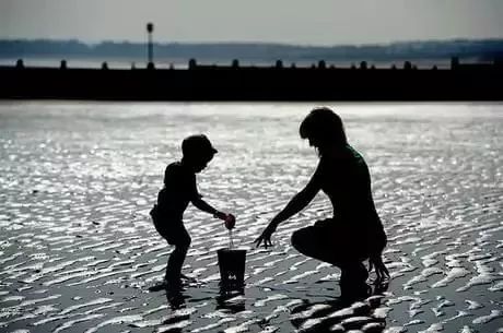 梦回彼岸，与逝去母亲的争吵——一场心灵的深度对话