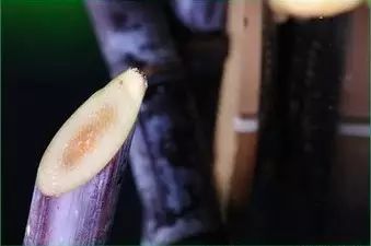 #爸妈必读#4岁男娃铅中毒，就因为吃了罐头：这些食物千万不要给孩子吃！