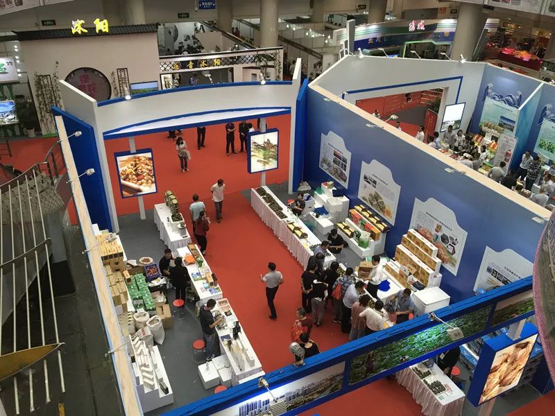 2019宿迁绿色农产品上海展销会这个创业之星带着他的多肉君高调亮相