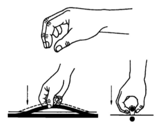 拿法 用拇指与其余四指对合呈钳形,夹提受术部位的一种方法.