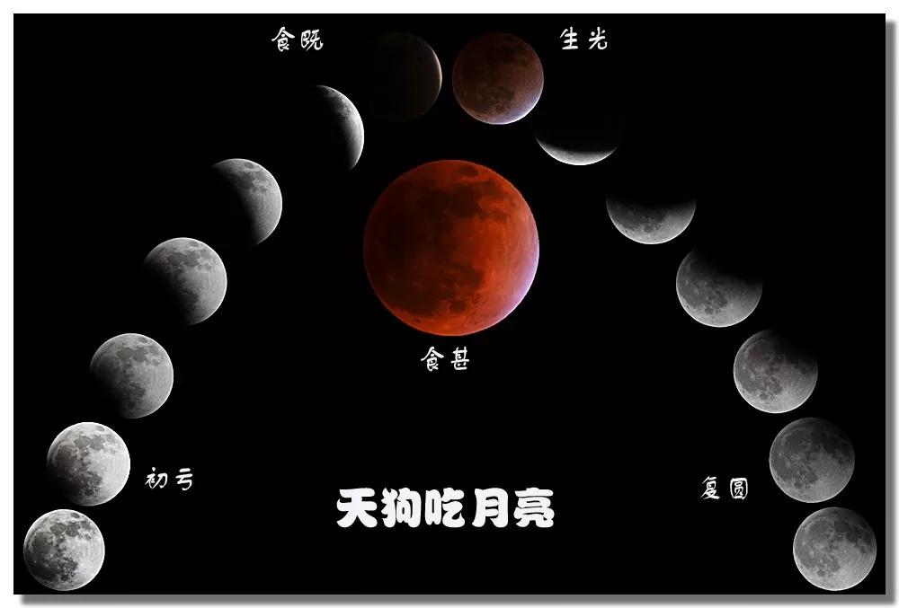 [豫记]原创吓坏中原孩子们的“老猫虎”到底是个啥玩意儿？