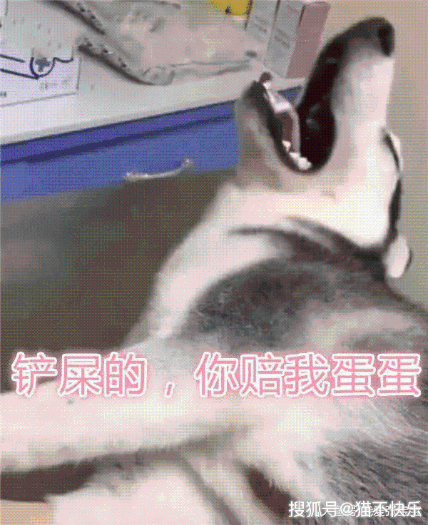 让人快速醒来的方法 3809526c752349a2842c15f14bb838c1.png