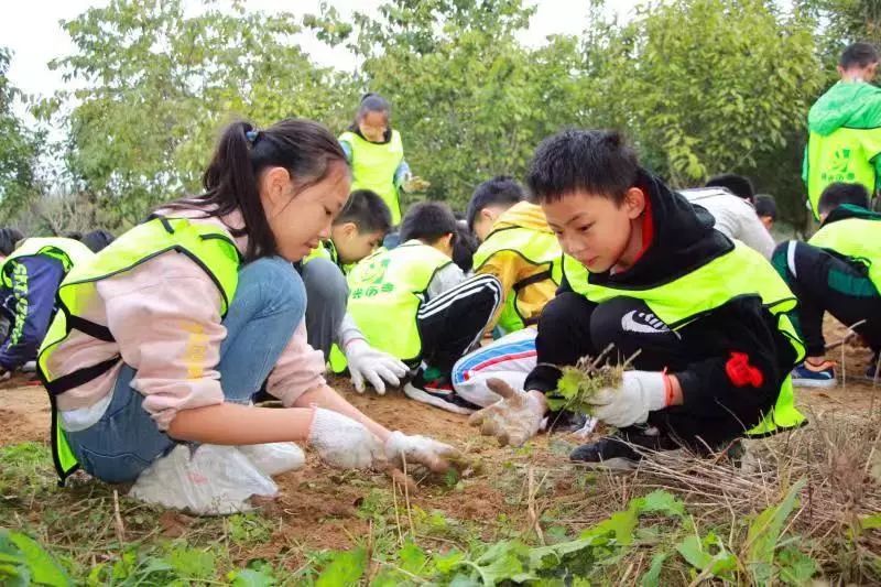 桐淮小学在行知塾综合实践基地开展劳动者的赞歌主题实践活动