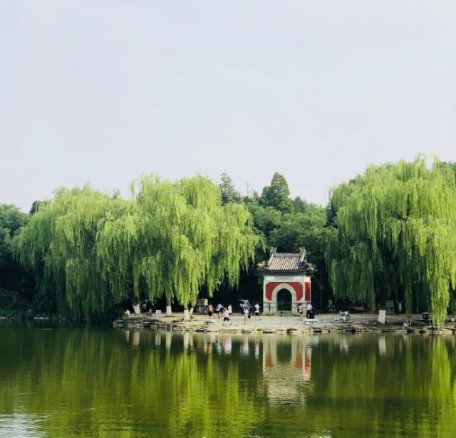 2020年大学保研率排名_上海高校保研率排名,三所大学超过30%,复旦大学最高