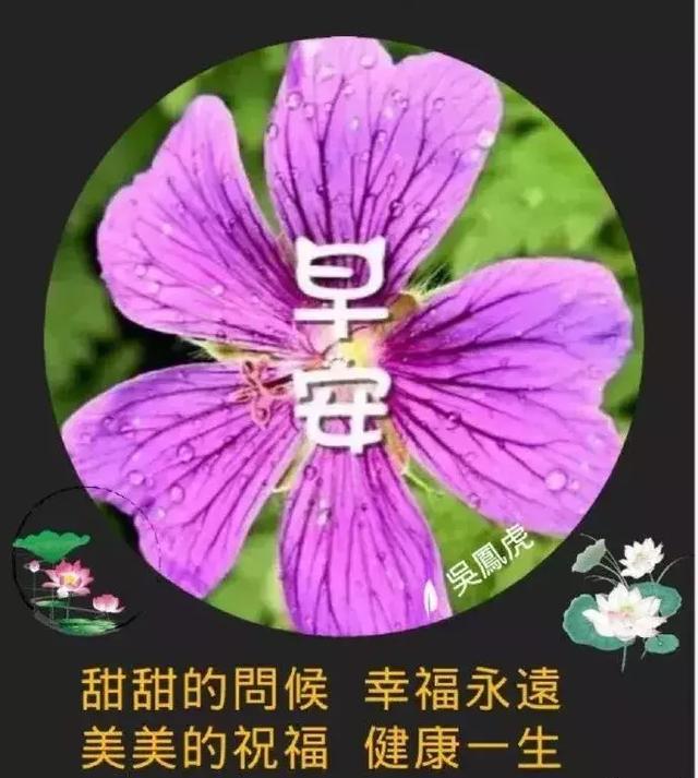 生活简单就迷人,人心简单就幸福,学会简单其实就不简单,早安