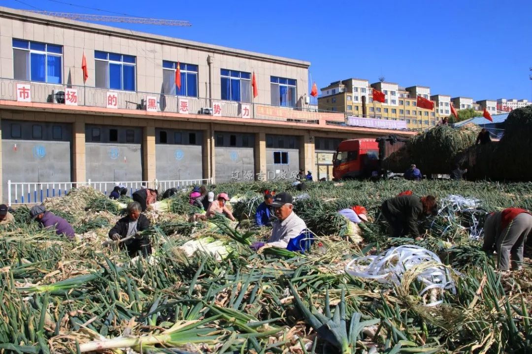 辽源多少人口_玉溪市地图 17311017 中国地图