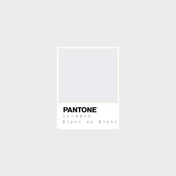 pantone 11-4800   blanc de blanc(法意白)