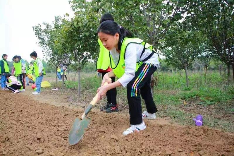 桐淮小学在行知塾综合实践基地开展劳动者的赞歌主题实践活动