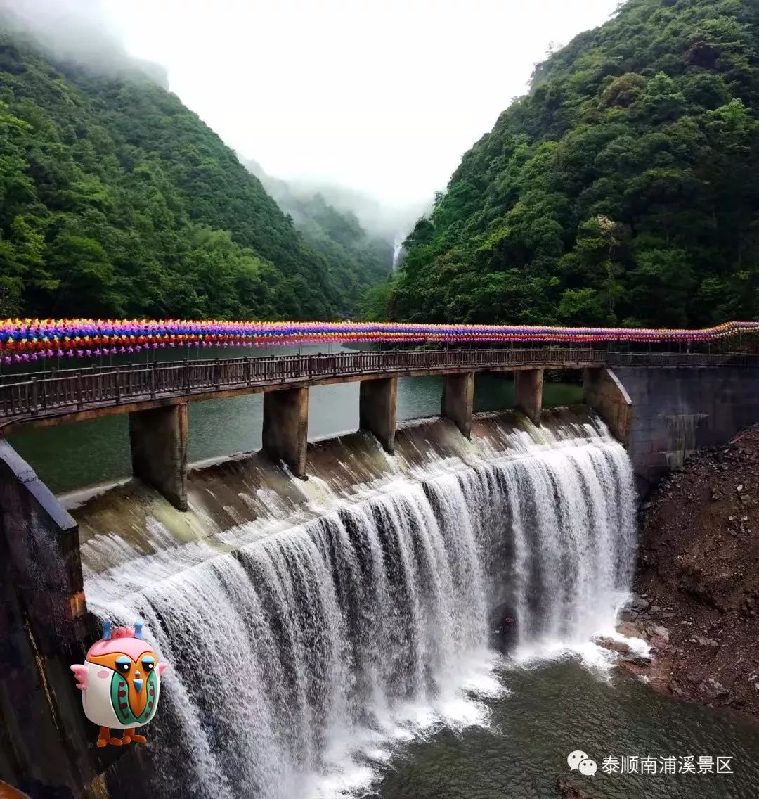 牧场里有奶牛,滑草场,亲子手工等游玩项目 南浦溪风景区  南浦溪风景