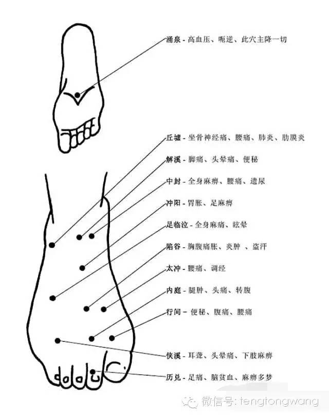 非常完整的人体穴位图与功效（果断收藏）