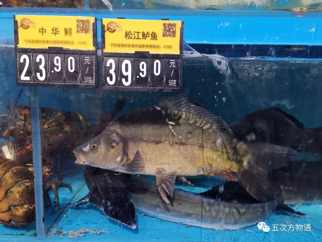 超市里的濒危物种