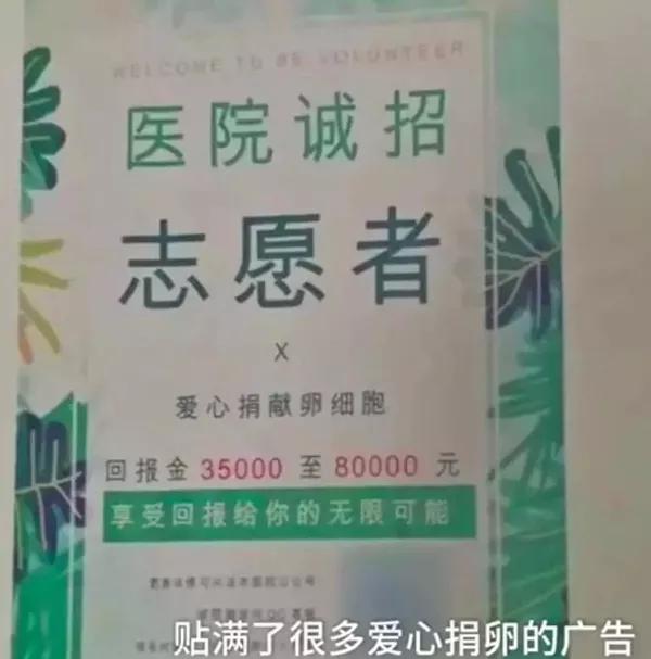 花季少女堕落史！揭开捐卵黑中介的阴谋