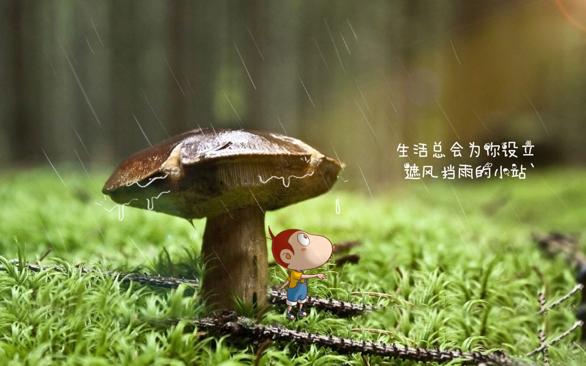 文章配图-1