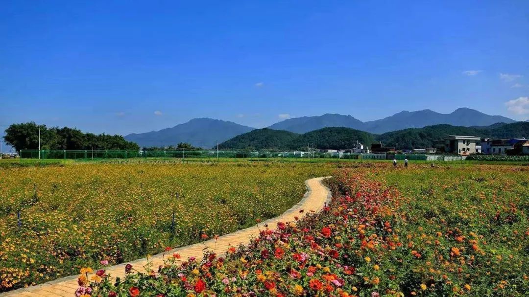 广梅汕高铁首发梅州五指石栈道风景世界长寿之乡蕉岭九岭村特色古民居