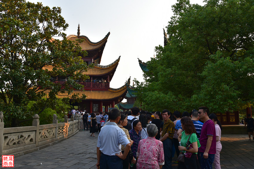 极目临风岳阳楼 浮光跃金洞庭波