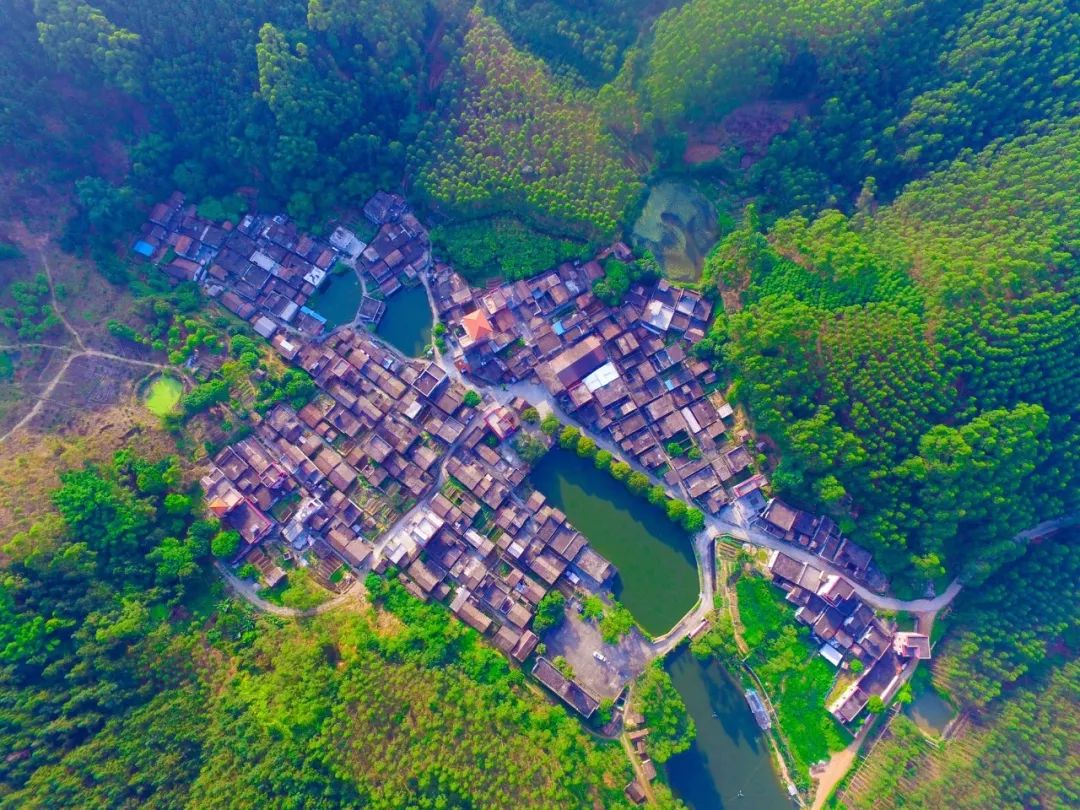 【不忘初心,牢记使命】市生态环境局到云勇林场开展"不忘初心,牢记